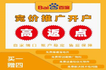 百度竞价赚钱的技巧与成功案例探讨